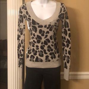 Express V-neck Thick Sweater Shirt